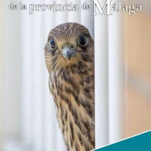 guia de aves de malaga