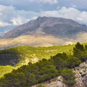 sierra de las nieves malaga